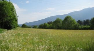 Картинка по теме - как приватизировать землю в украине