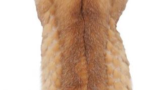 Картинка по теме - как носить меховые жилеты