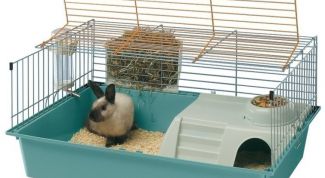 Картинка по теме - как обустроить клетку кролика