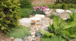 Картинка по теме - как сделать сухой ручей