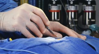 Картинка по теме - как получить квоту в москве