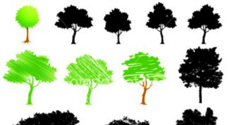 Картинка по теме - как научиться рисовать деревья