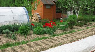 Картинка по теме - как распланировать 6 соток