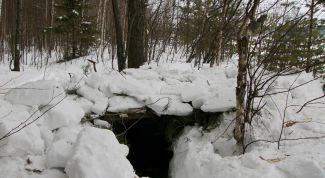 Картинка по теме - как найти берлогу