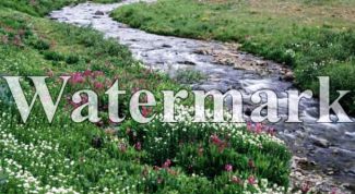 Картинка по теме - как поставить водяной знак на фото