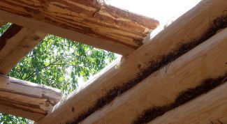 Картинка по теме - как построить крышу в бане