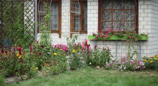 Картинка по теме - как получить дачный участок