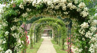 Картинка по теме - как поставить арку