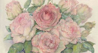 Картинка по теме - как нарисовать розу красками