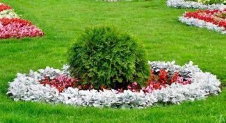 Картинка по теме - как разбить клумбу