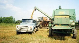 Картинка по теме - как купить колхоз