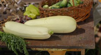 Картинка по теме - как готовить кабачки консервированные