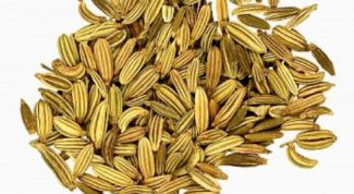 Картинка по теме - как заваривать укропную воду