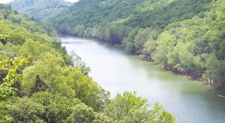 Картинка по теме - как определить скорость воды