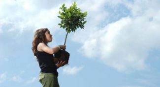 Картинка по теме - как создать некоммерческую организацию