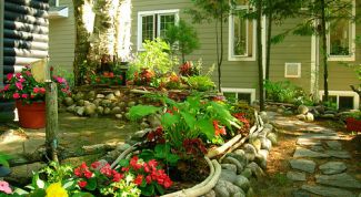 Картинка по теме - как распланировать земельный участок