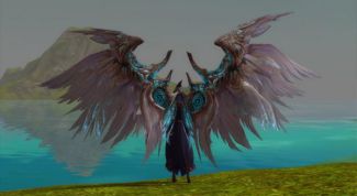 Картинка по теме - как прокачать крылья