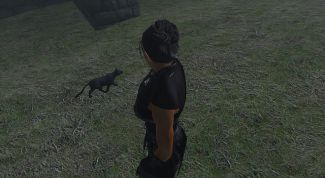 Картинка по теме - как установить мод для oblivion