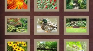 Картинка по теме - как улучшить качество снимков