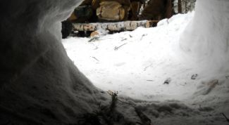 Картинка по теме - как сделать укрытие