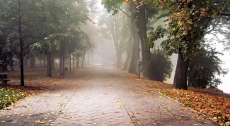 Картинка по теме - как определить видимость