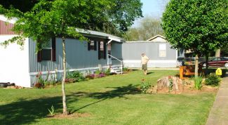 Картинка по теме - как вырастить газон