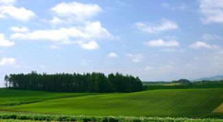 Картинка по теме - как вернуть земельный участок