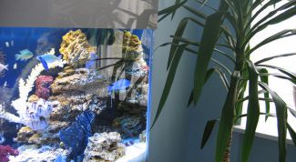 Картинка по теме - как собирать фильтр для аквариума