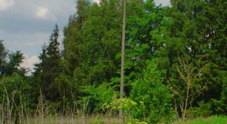 Картинка по теме - как купить земельный пай