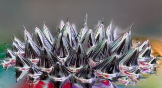 Картинка по теме - как сделать ферромагнитную жидкость