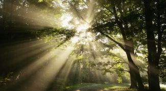 Картинка по теме - как фотографировать природу