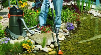 Картинка по теме - как почистить пруд