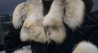 Картинка по теме - как определить натуральный мех