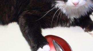 Картинка по теме - как настроить мышь на один клик