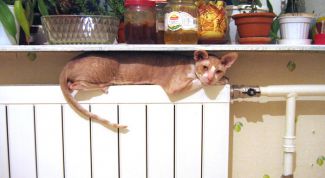 Картинка по теме - как платить меньше за отопление