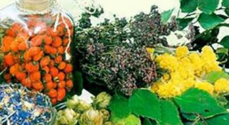 Картинка по теме - как хранить травы