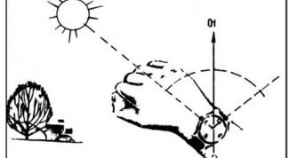 Картинка по теме - как определить, где север, юг, запад и восток