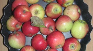 Картинка по теме - как вырастить из семечка яблоню