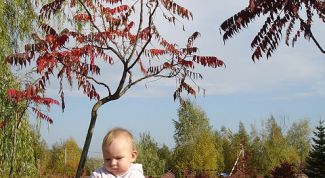 Картинка по теме - как определить, откуда звонили