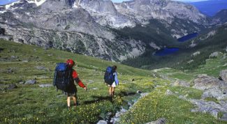 Картинка по теме - как иммигрировать в финляндию