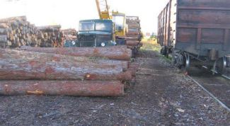 Картинка по теме - как считать кубатуру леса