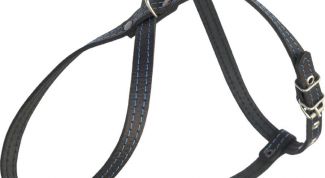 Картинка по теме - как сшить шлейку для собак