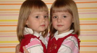 Картинка по теме - как воспитывать близнецов