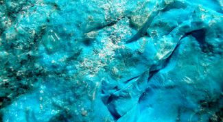 Картинка по теме - как получить бирюзовый цвет