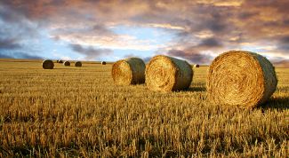 Картинка по теме - как измерить кубатуру