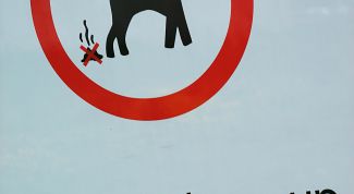 Картинка по теме - как написать листовку