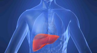 Картинка по теме - как уменьшить печень