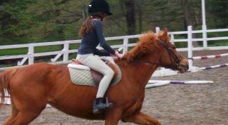 Картинка по теме - как слезать с лошади