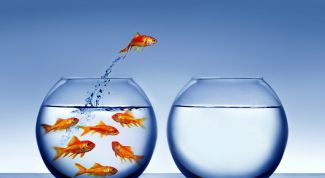 Картинка по теме - как перевестись из одного города в другой