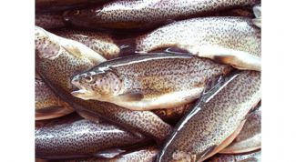 Картинка по теме - как почистить форель